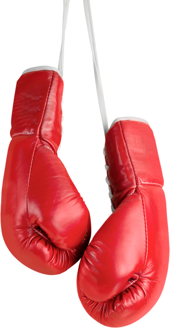 A Pair of Boxing Gloves  